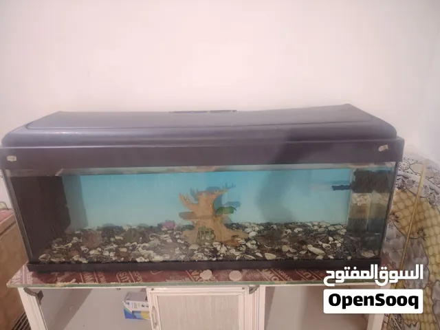 حوض اصلي مو سويه جبير متر ونص