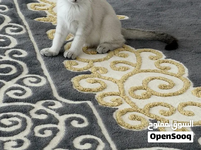 للبيع قطوه