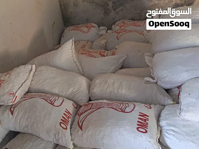تمر نفيعه انتاج سنة 2026