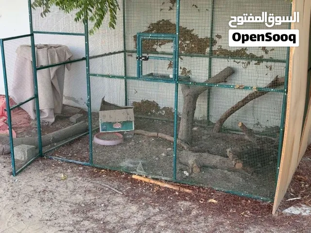 Large aviary cage for birds قفص للطيور