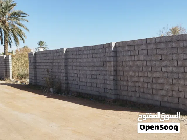 قطعة أرض تجارية بمنطقة الحامية للبيع