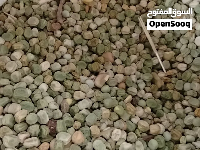 بازيلا بلديه للبيع