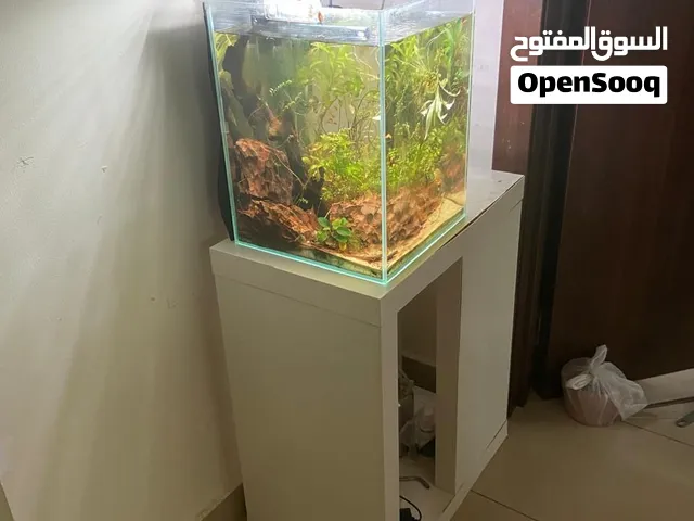 Complete Planted High Tech Aquarium Setup – Tank + CO2 + Light + Filter + Accessories