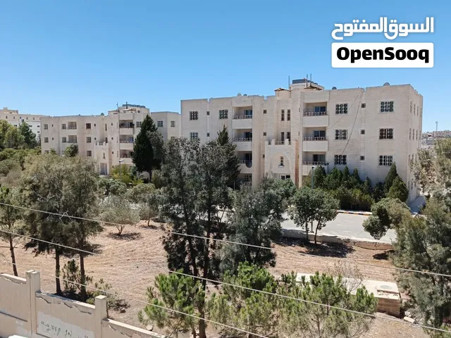 أستوديوهات VIP مفروشة للإيجار بجانب جامعة الطفيلة