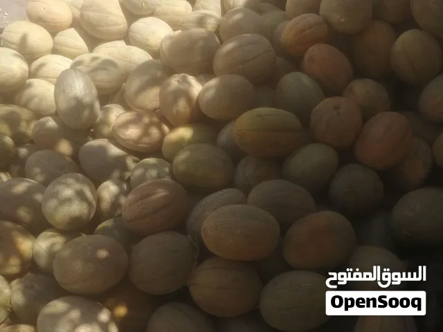 شمام باكستاني عسل