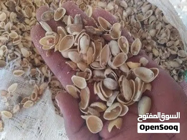 فرصة ذهبیة لشرکات الفحم وتصنیع الکربون المنشط: (أجود أنواع قشور الفستق الإیرانی للتصدیر المباشر)
