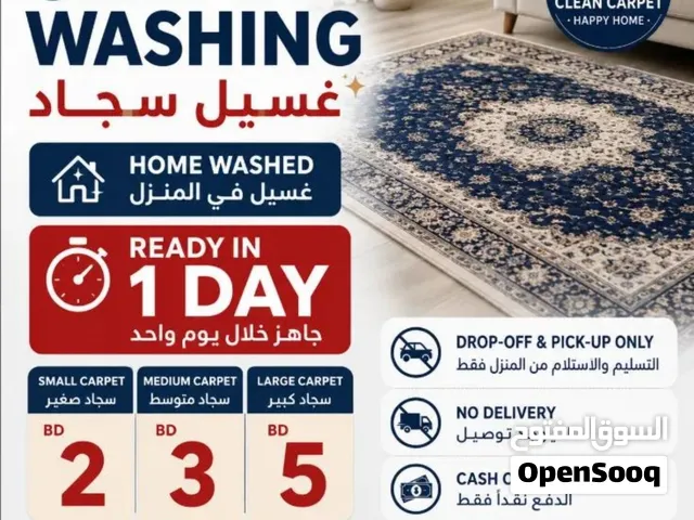 Professional Carpet Washing Service  Clean Carpet, Better Living