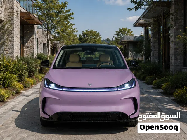 للبيع ARCFOX T1 2027 كهربائية جديدة- purple