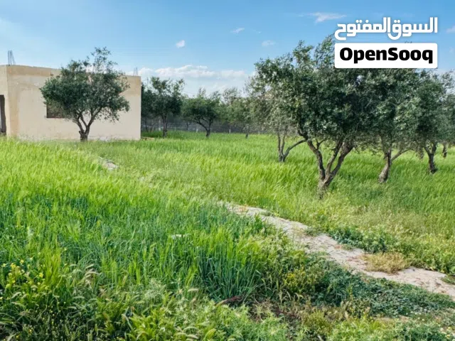 أرض للبيع ناعور العال والروضة حوض الحواسيه بمساحة 2000 متر  ........................................
