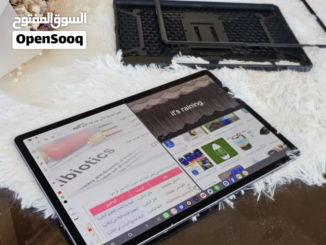 Samsung Galaxy Tab S10 Plus   12GB RAM  256GB