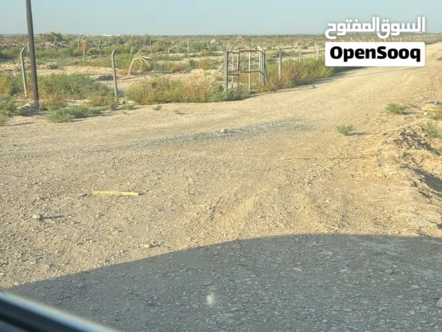 ارض زراعيه بأسمي تحويل مباشر دونم كامل كهرباء + ماء واسط الصويره