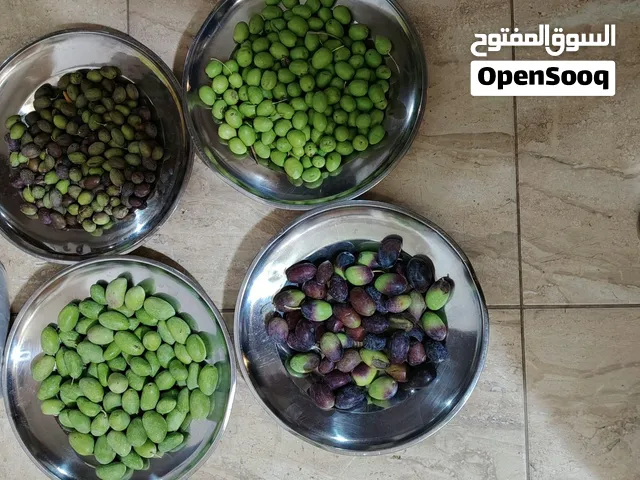 زيتون مشكل للبيع