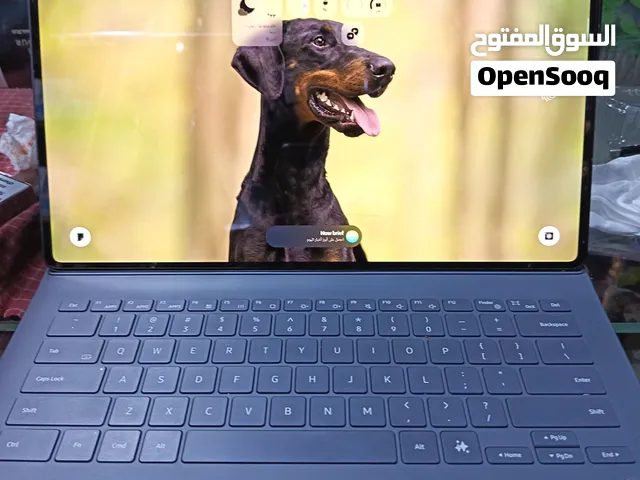 البصره الزبير