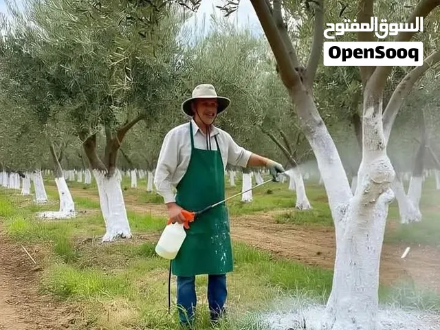 منشار قص اشجر