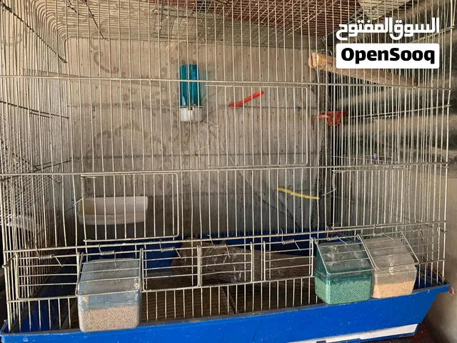 أقفاص وأحذية وقفاز ملاكمة للبيع بسعر حرق حرق