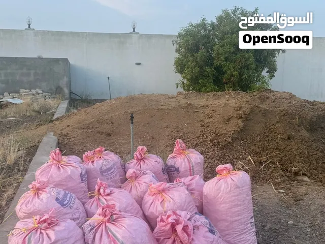 سماد بقر طبيعي