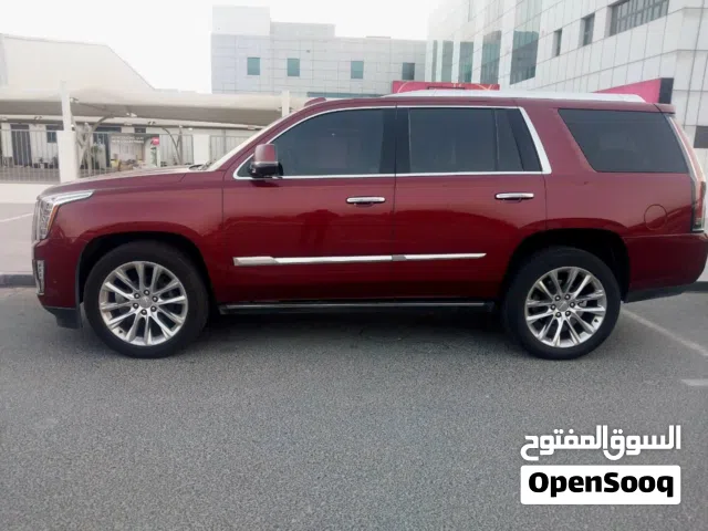 Cadillac Escalade 2018 – Luxury SUV Great Deal and a beautiful color