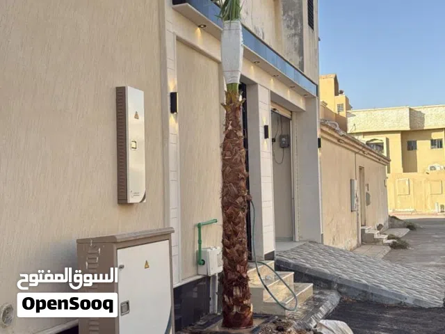 نخل واشنطن زينه امريكي جميع المقاسات والارتفاعات