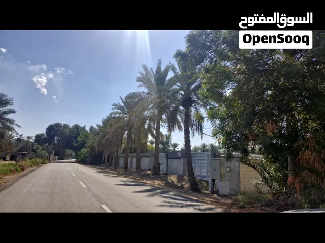 ارض زراعية للاستثمار أو الاجار صحار الخويريه