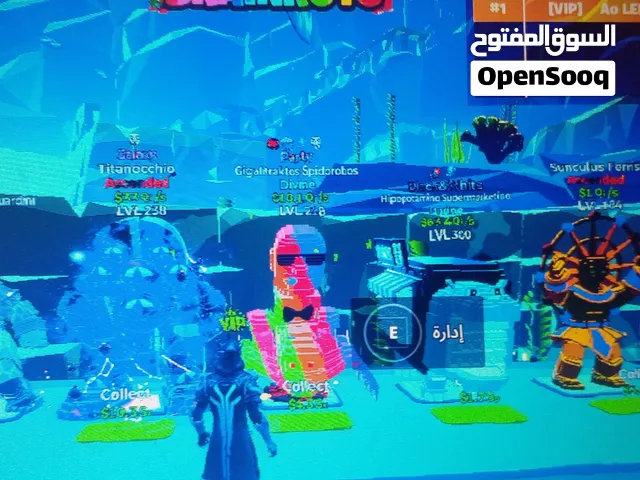 الصفه كله بي 7 دينار فقط