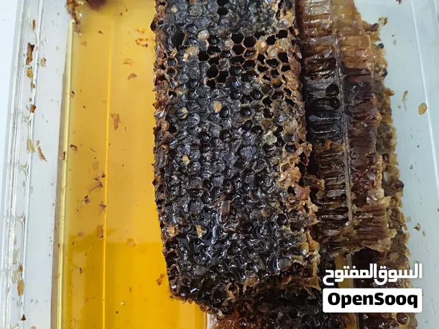 عسل جبلی توصیل فی البصره