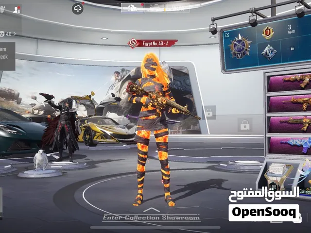 Pubg level 85 collection 67