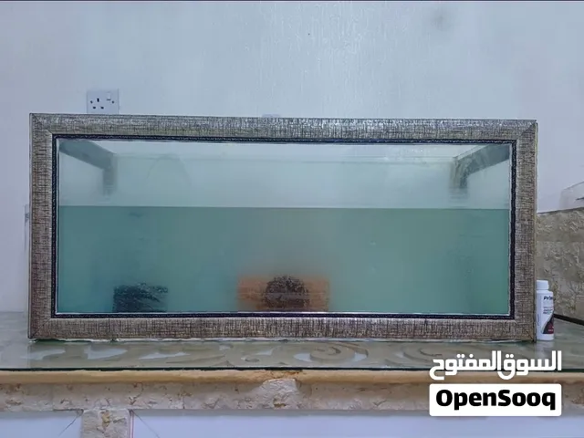 حوض أسماك زجاجي بحجم ممتاز (وسط إلى كبير) بإطار ديكوري فخم