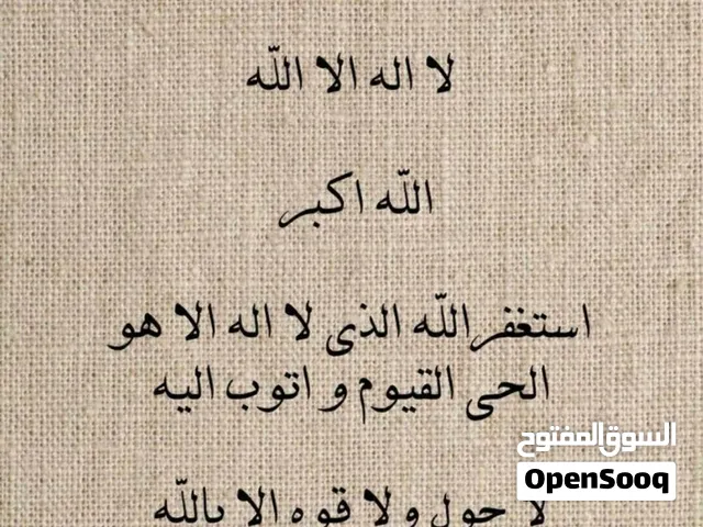 طير كوكتيل مفقود في مدينة سلمان مجمع 581