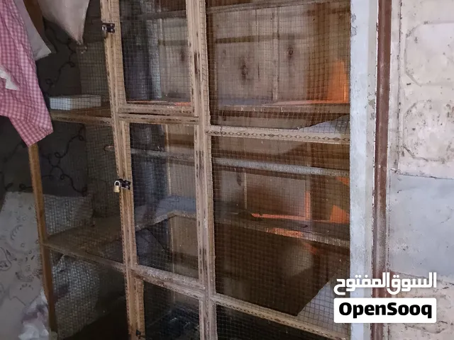 قصف يصلح. لحمام دجاج. طول 163  وعرض 117 نظيف مابي اي شي.
