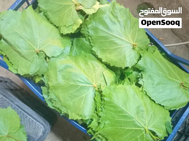 دوالي أمريكي نخب اول ناعم بجوده مميزه
