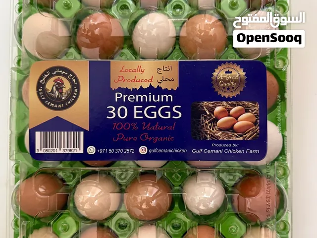 Farm Fresh Organic Eggs Available