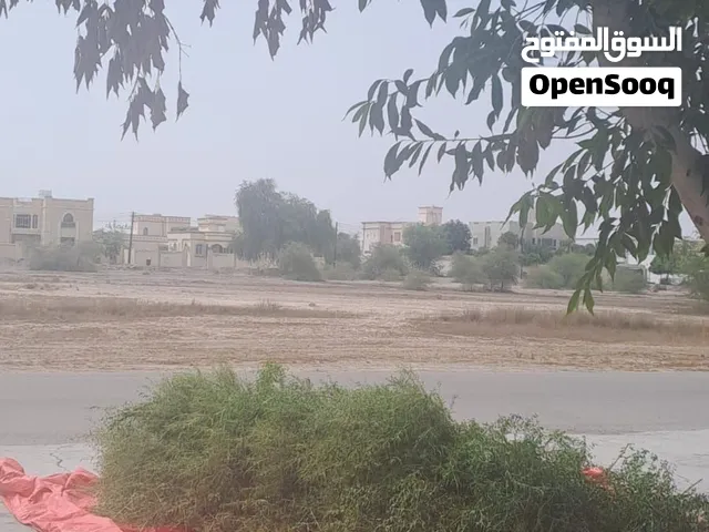 حنا عماني للبيع