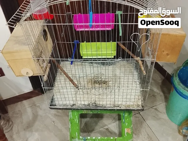 قفص كوكتيل بمشتملاته كامله للبيع