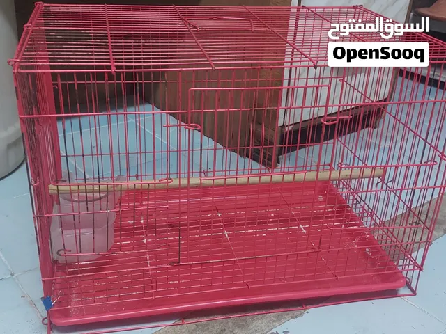 Birds Cage urgent sale