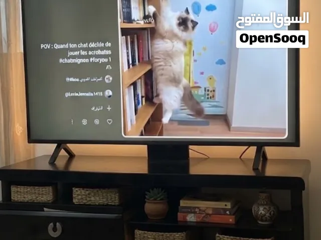 ميز خشب قوي