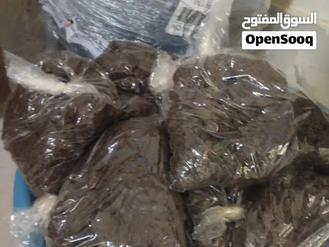 .دلكه سودانية