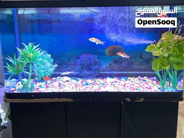 حوض اسماك للبيع مع جميع مستلزماته