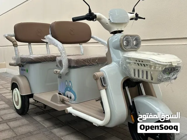 ELECTRIC TRICYCLE FOR SALE PERFECT FOR FAMILYS WORKING CONDITION