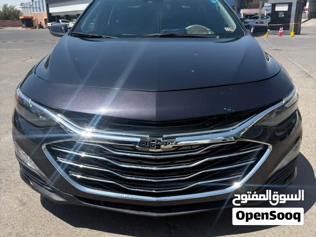 ماليبو معوفين 23