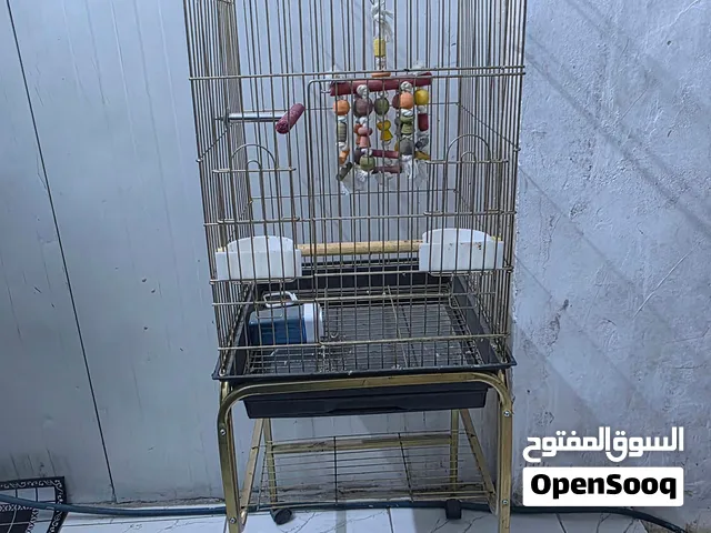 قفص لطيور نظافة 100%