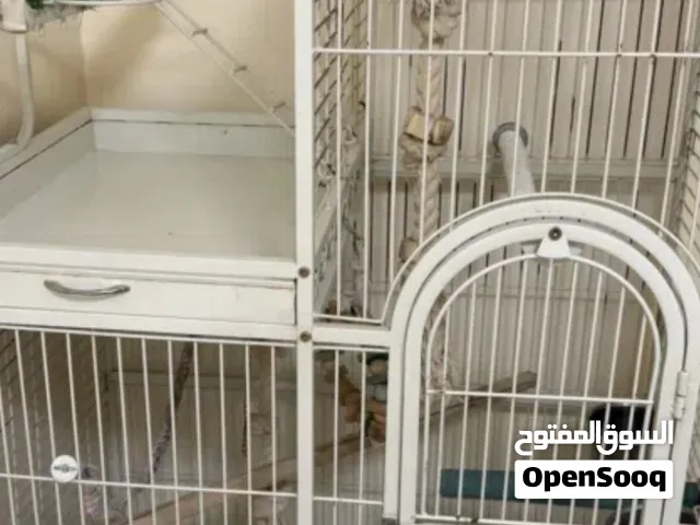 اقفاص ومستلزمات طيور كبيره وصغيره
