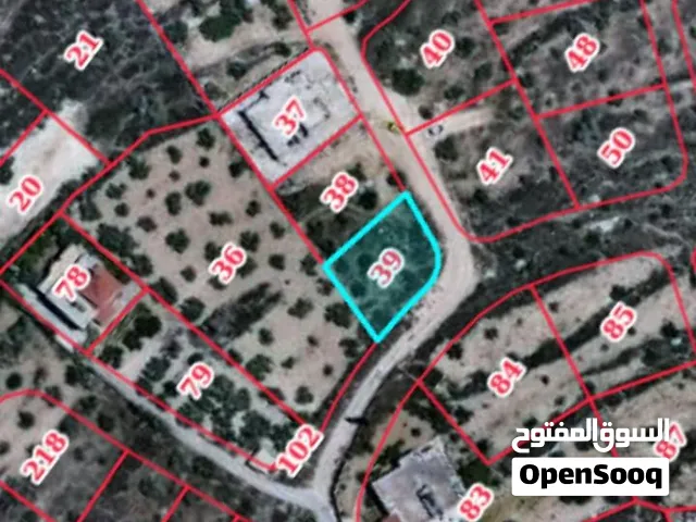 قطعة ارض مربعة الشكل في قوصين