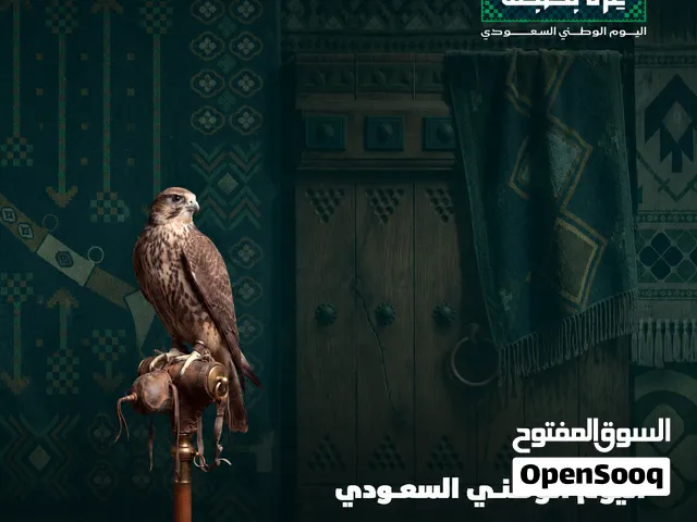 تصميم 3D لفعاليات اليوم الوطني مع إعداد ملفات التنفيذ