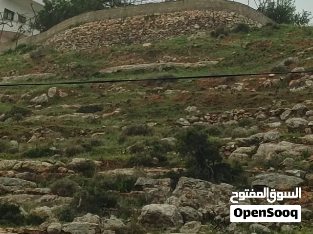 ارض للبيع دير غسانه نص دونم تصنيف Aمسموح فيها بناء واصلها كهربا ومي طابو سلطه خاليه من المشاكل
