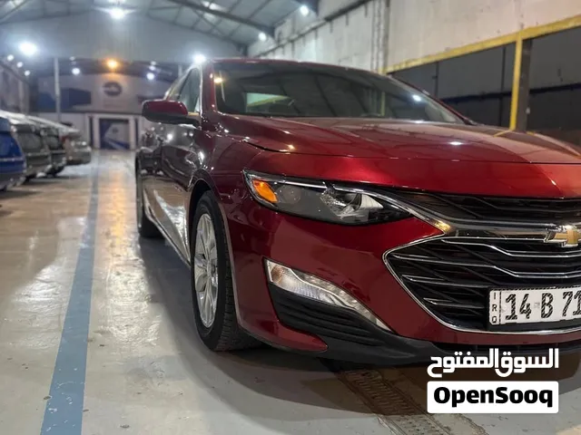ماليبو LT 2023
