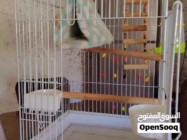 قفص كاسكو ايطالي وكاله استعمال بسيط مع كامل اكسسواراتو