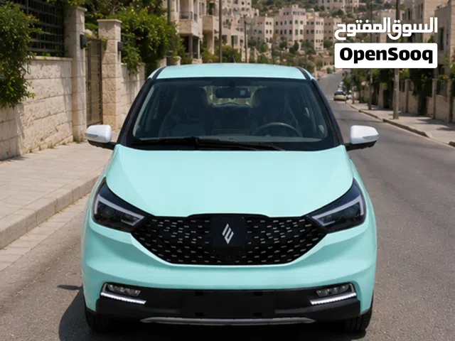 2026 JMEV EV3