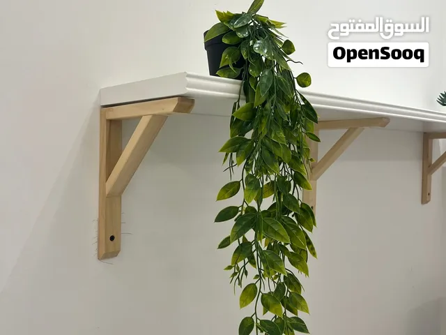 بيع نبته معلقه