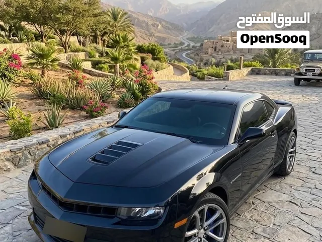 Used Chevrolet Camaro in Muscat