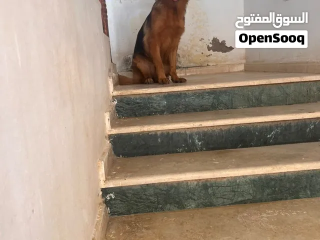 انتاي العمر 8شهور